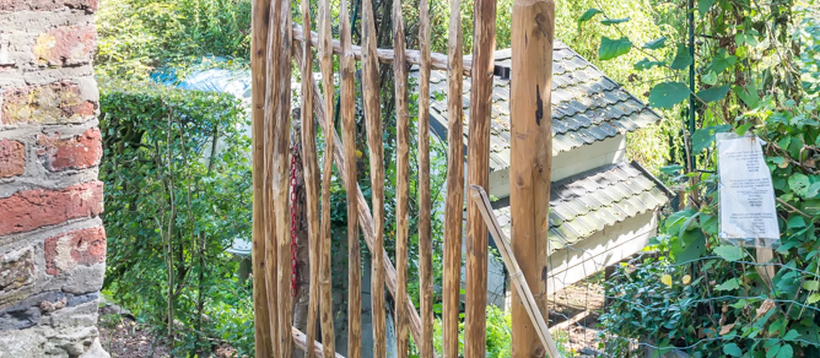 1770285764-21) wilde tuin (3)